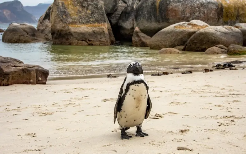 容易得到的感情就真的不会被珍惜吗？