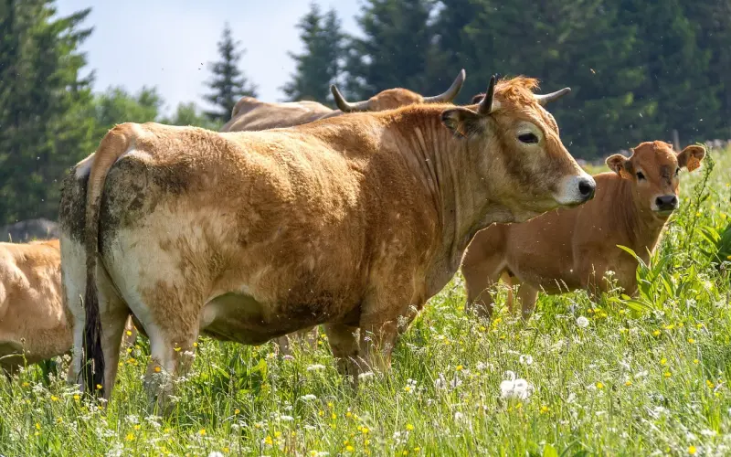 网恋就是一场冒险？