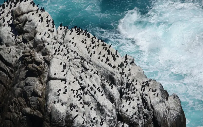 她是玩弄你还是喜欢你，用这3招测试一下