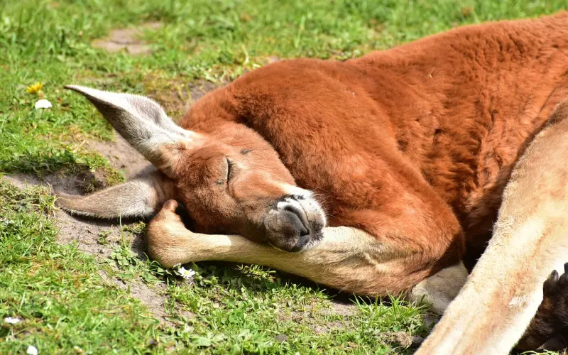 有没有一种坚持，曾让你的生活发生巨大变化？