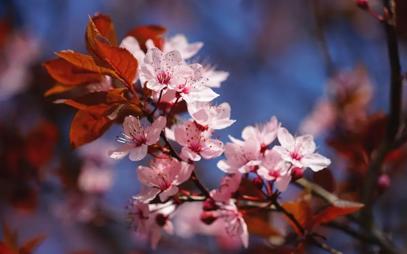 出轨真的只有0次和无数次吗？