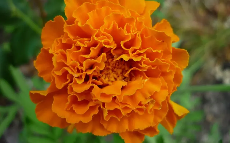 原谅容易，再信任却难！