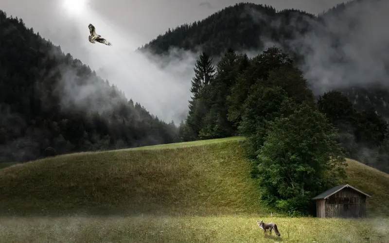 人生能相遇，已是不易；心灵若相知，更要珍惜