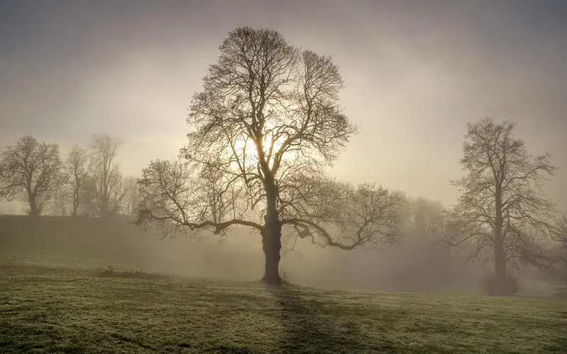 据说点进来的人都告别了单身