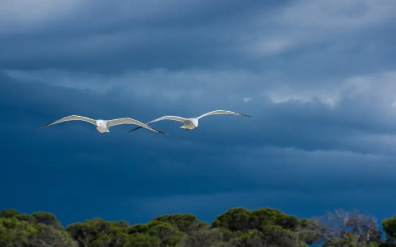 据说只有情商高的人才能猜对的一道题，你会么？