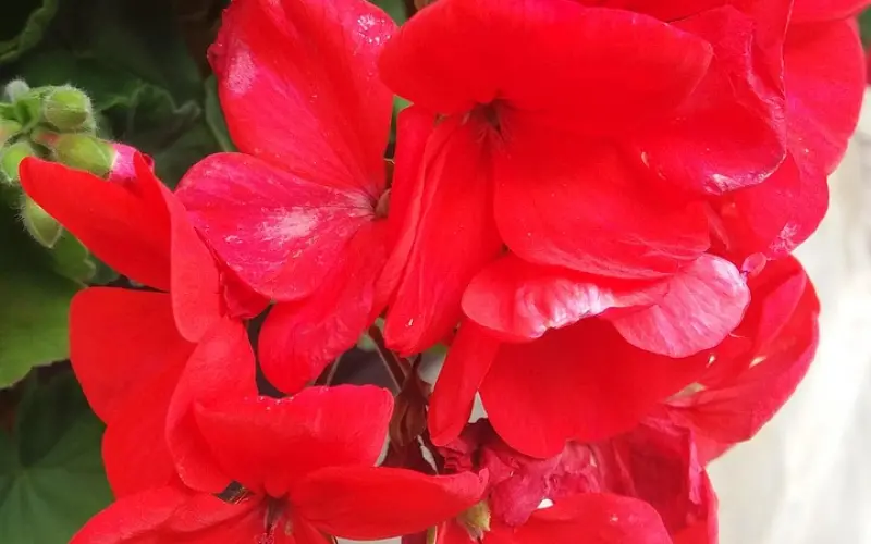 据说这是99%女人的心里话