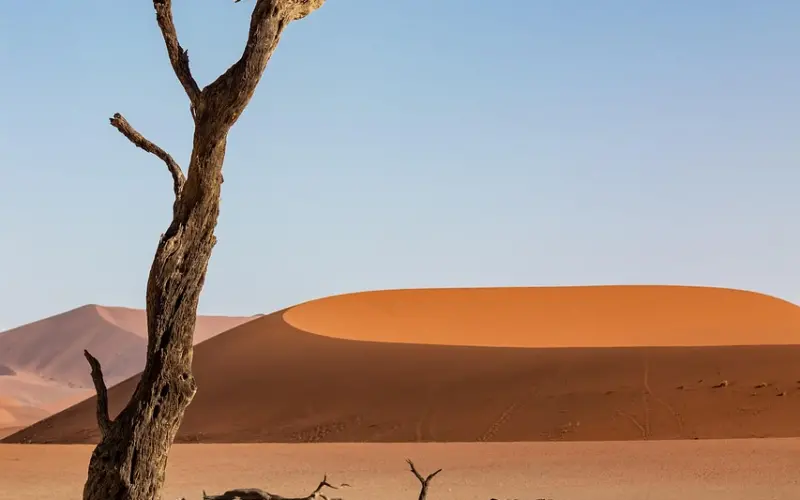 简直是提升路上的炼金石，废柴都能变男神！