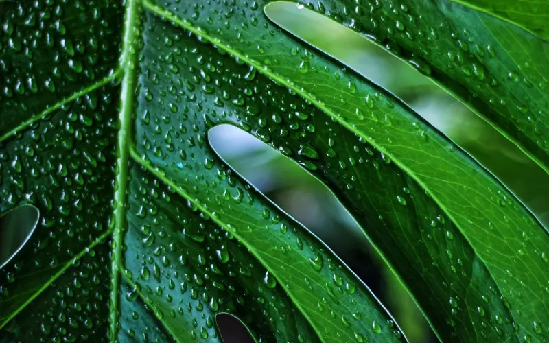 IT男——中国男性出轨冠军，这锅背不背？