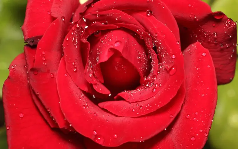 原来，没有出轨的90后不止我一个