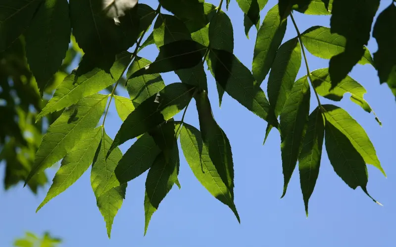 原来它才是让你分手之后难过的源头