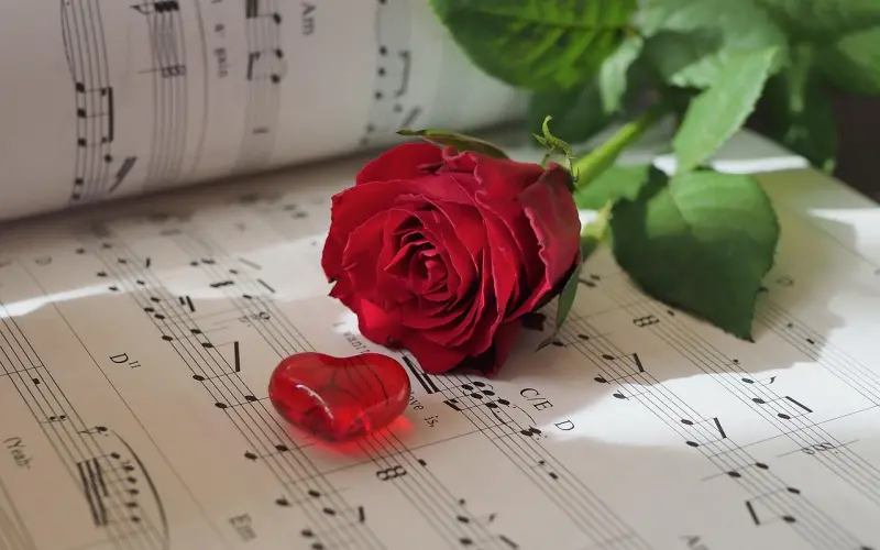 原来这才是男人喜欢外遇的真相！