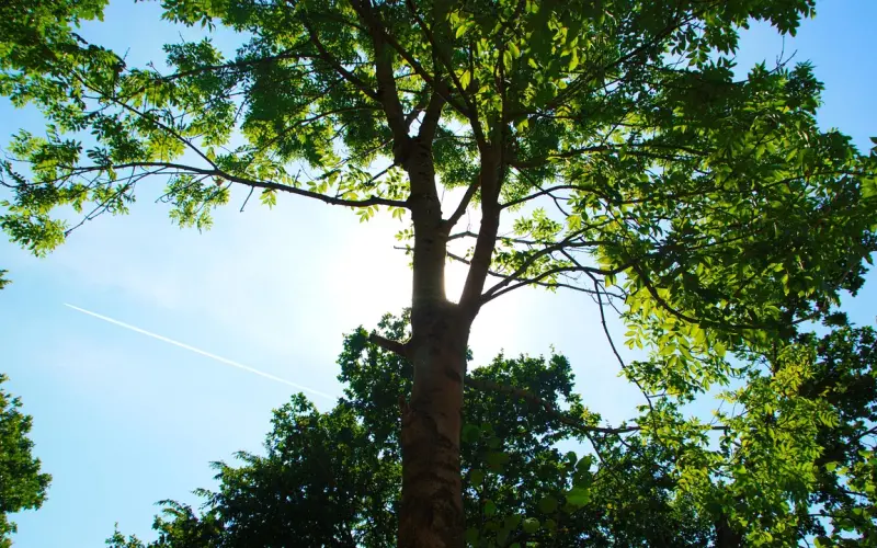 2小时让你颜值提升2-3分！