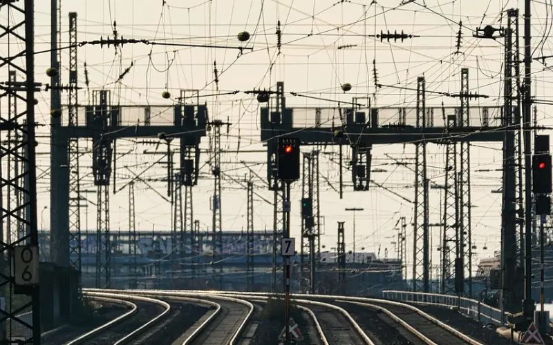 不用花钱的放生方法，简单易行！