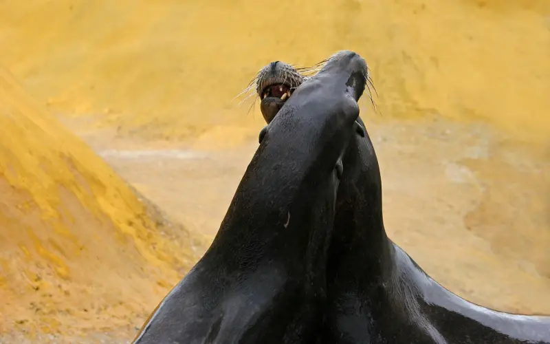 9年了，我还是无法爱上你