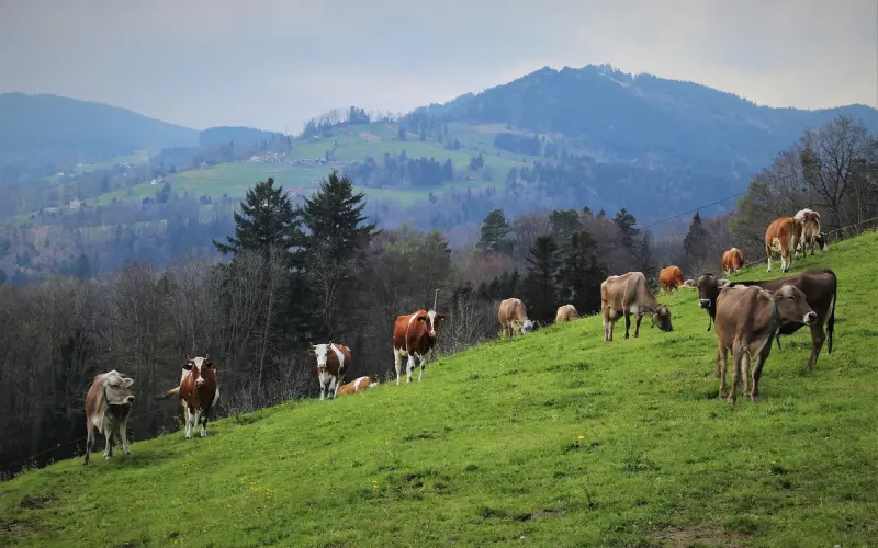 宁做泼妇，不做弱妇，妈妈写给远嫁女儿的一封信！