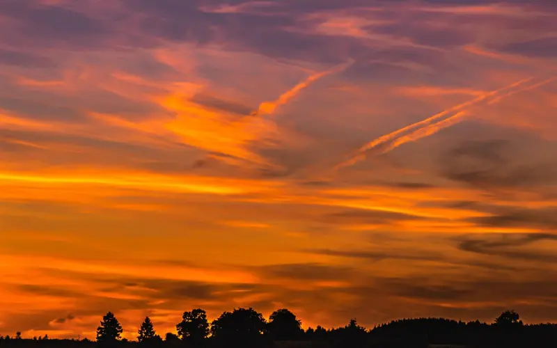 幻想无数不如动次真格，浪迹教育双十一助你逆天改命
