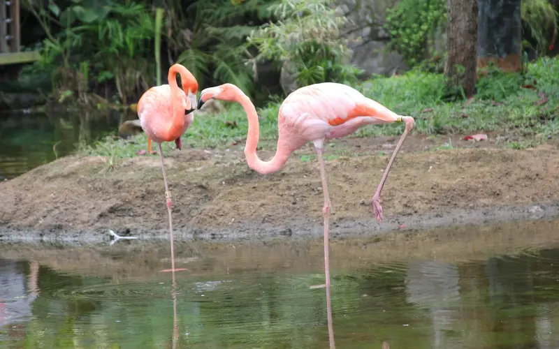 找一个脾性好的男朋友很重要