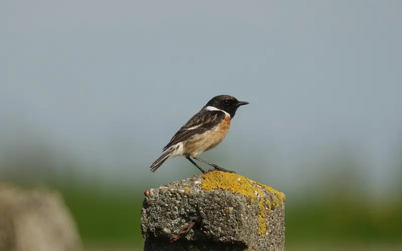夜深了，我们聊点成年人的话题