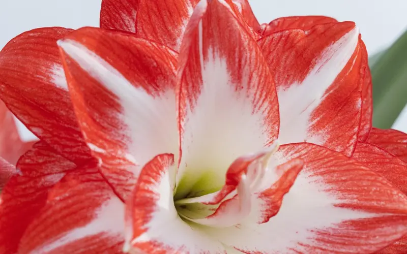 有个对你知冷知热的人，真好