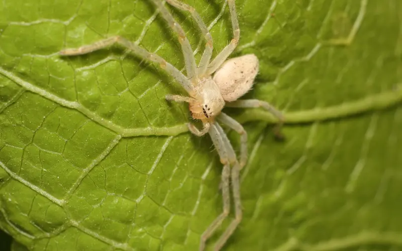喜欢一个人不犯法，但是犯贱
