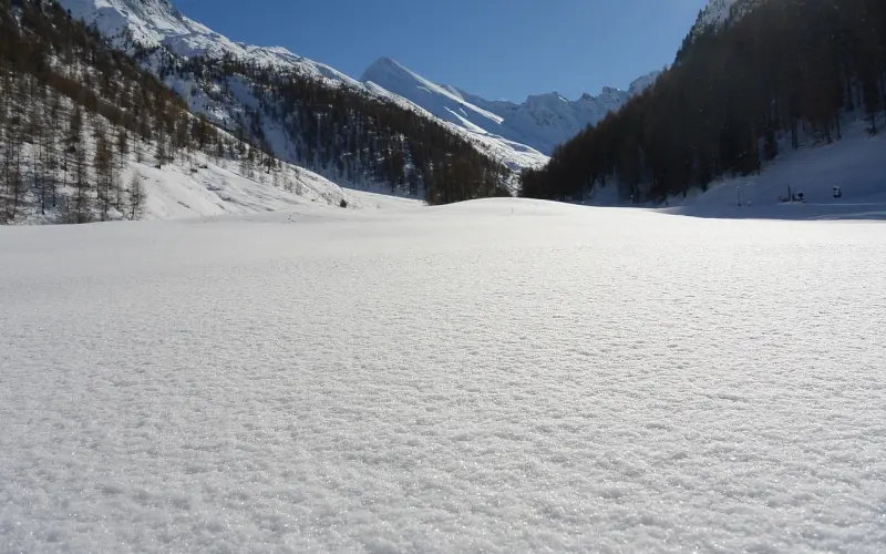我不是不想谈恋爱，只是无从下手