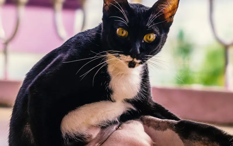 挽回太累了！你应该怎么做？