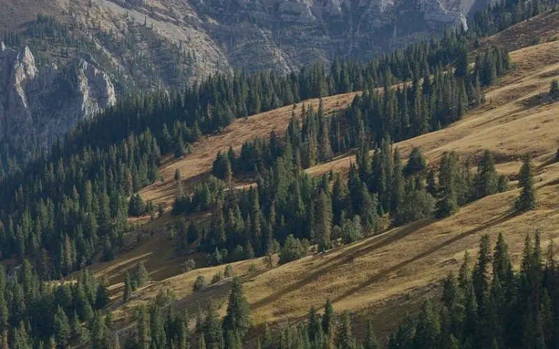 薛之谦：昨天说爱你的人，今天推你下深渊