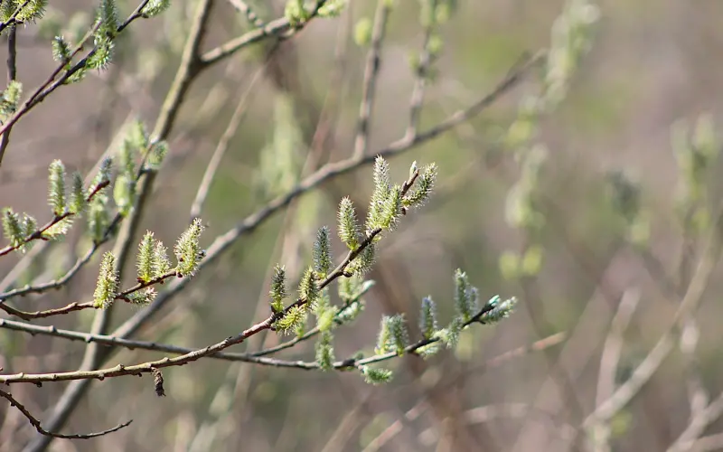 根据微信聊天画风，判断她到底爱不爱你