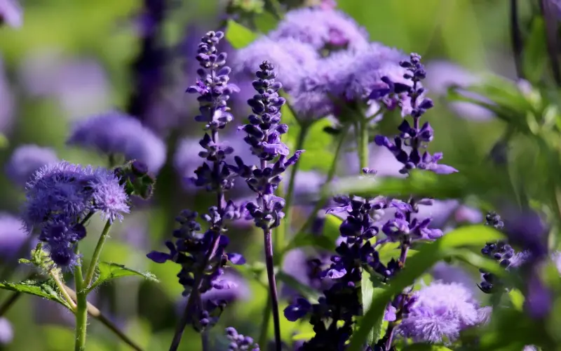 只要7招，完胜初次约会！