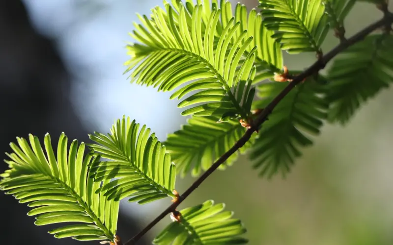 简单几个方法就能轻轻松松挽回男友的心