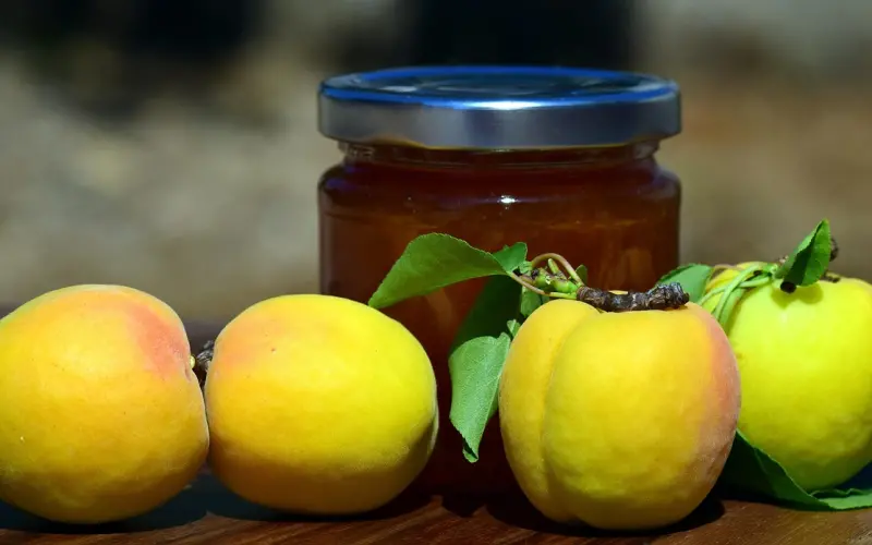 给我爱情就行，面包我自己能做！