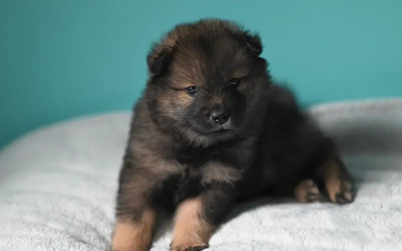 只需三招，教你欲擒故纵让男神对你欲罢不能