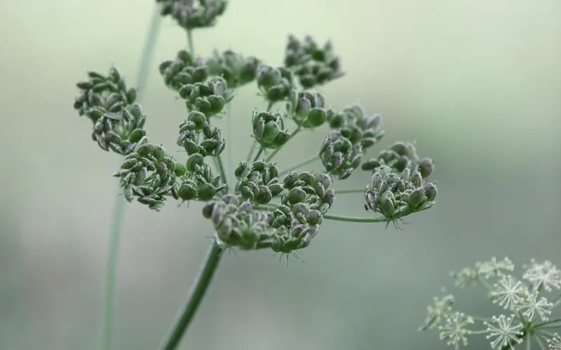 克群 | 表白的正确方式