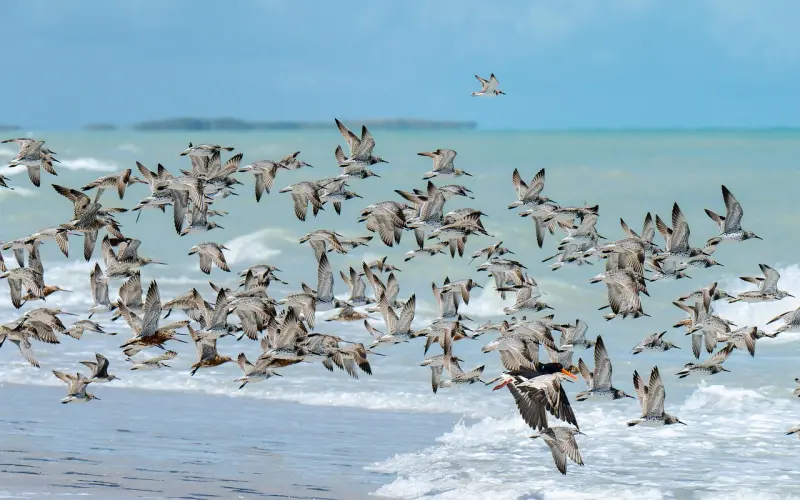 克群 | 走进女人内心的方法