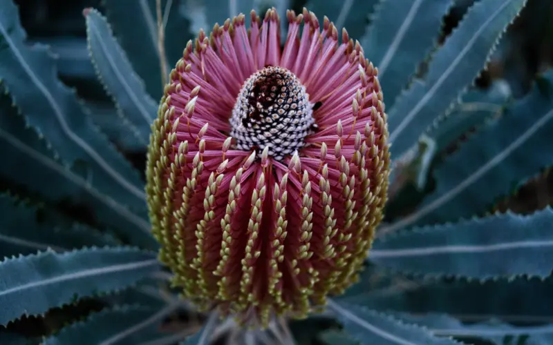 克群 | 喝咖啡的把妹诀窍