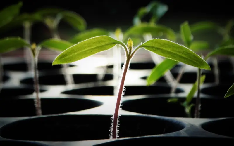 懂得尊重与边界，是一个人的顶级修养