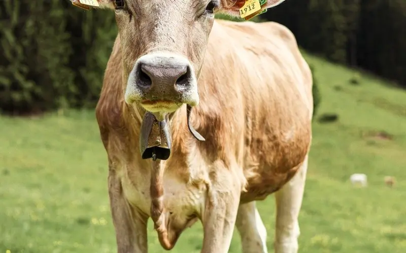 信任不足，这是异地恋最糟糕的地方