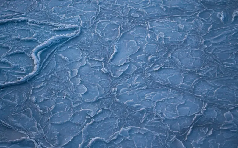 深夜开奖 | 万圣节就是要这样鬼混！