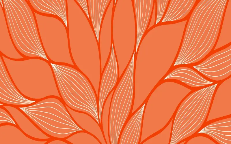 深夜开奖 | 一个女人动了情是什么样子？