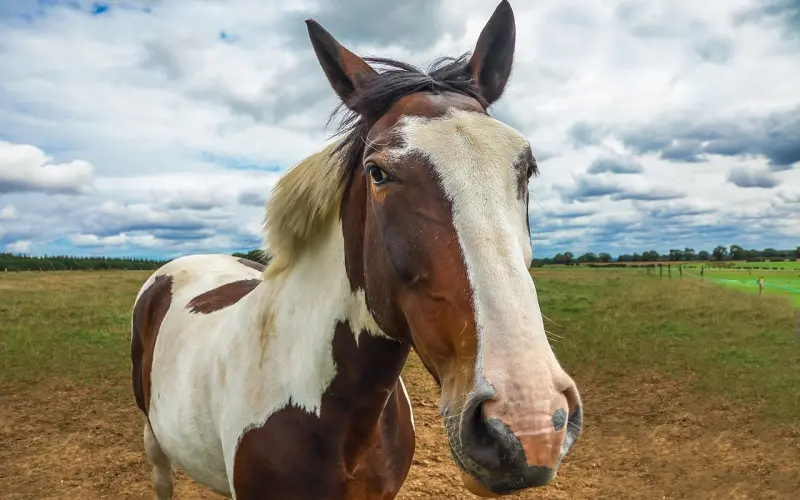 深夜话题：这个十一你要怎么过？