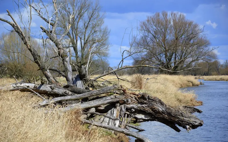 深夜话题：两性关系里，身为男人或女人的你最看重的是什么？