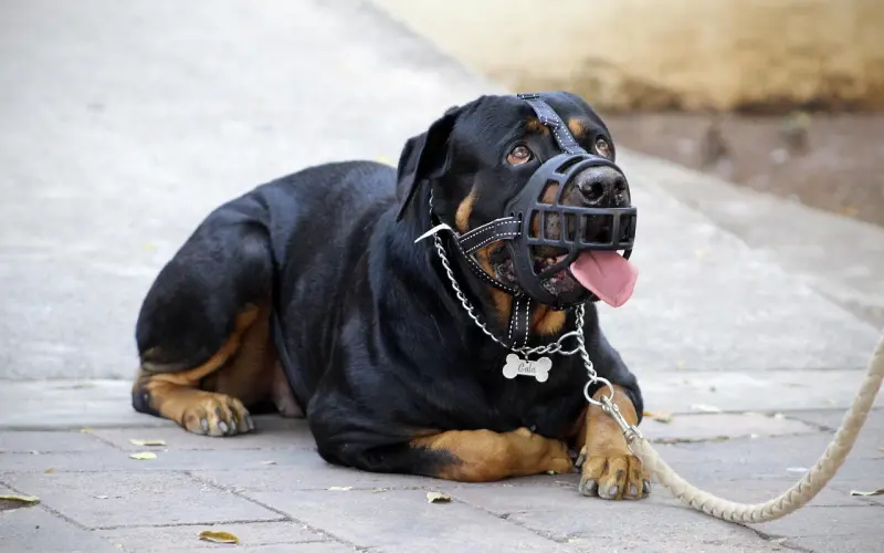 深夜话题：你最受不了另一半的哪些行为？