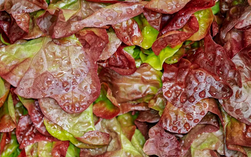 这样布局朋友圈，促使他主动回到你的身边