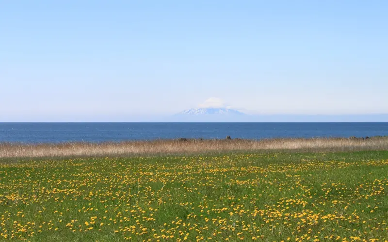 现学现用：如何稳定你的情绪？
