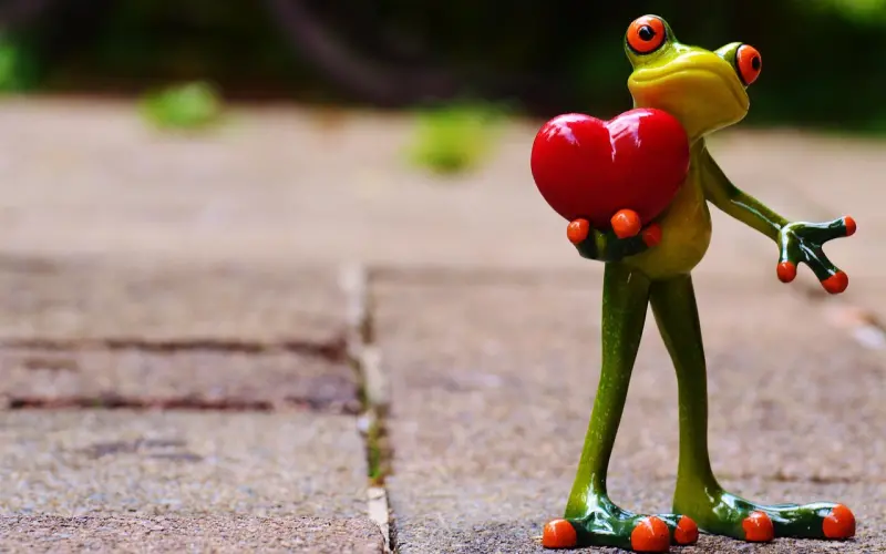 学会这几个姿势，轻松撩拨妹子的心