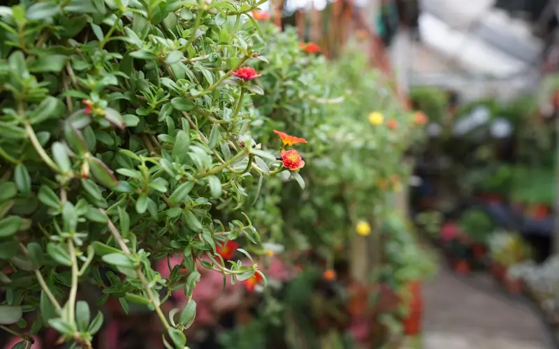 “夫妻间学会这三个小动作，助你感情快速升温”