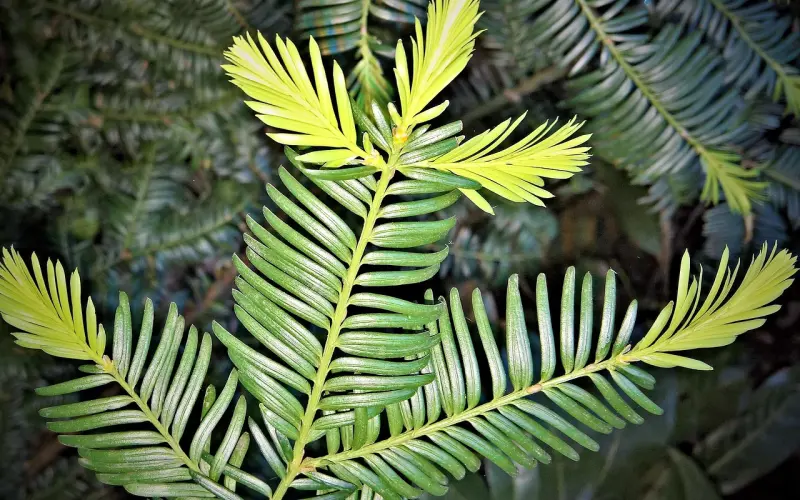 学会这俩技巧，随便聊聊，你们就暧昧了