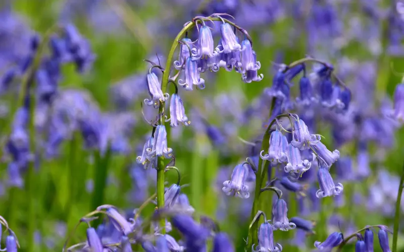 微信学会这样聊，女神主动暗示你约她