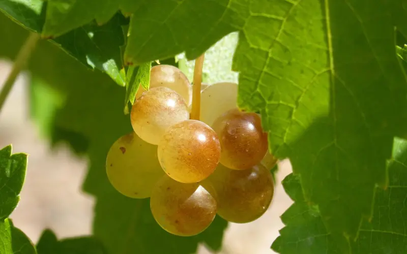 学会放下，慢慢变得成熟，也就不那么累了