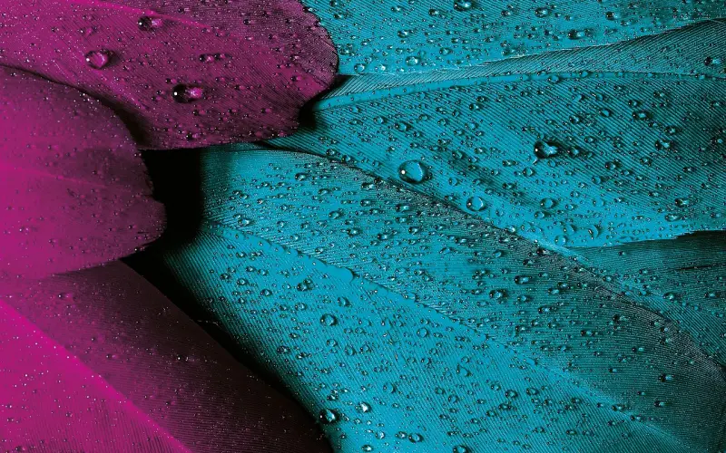 冷爱问答 | 有另一半时，遇上更吸引的人，该怎么办？